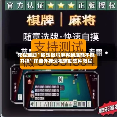 教程辅助“微乐捉鸡麻将到底能不能开挂”详细外挂透视辅助软件教程-第2张图片