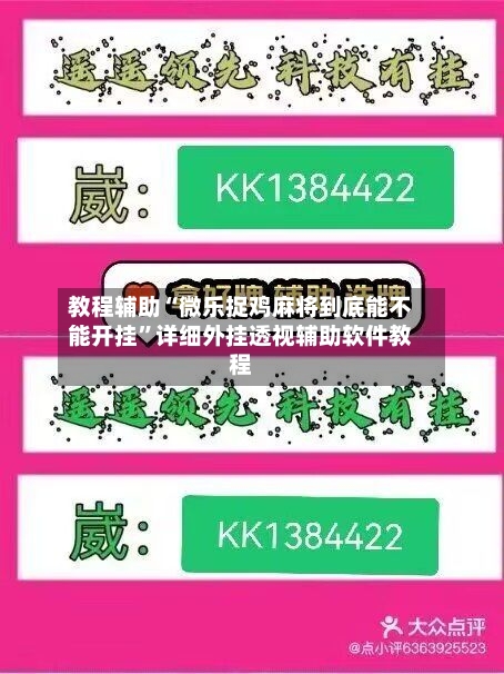 教程辅助“微乐捉鸡麻将到底能不能开挂	”详细外挂透视辅助软件教程-第3张图片