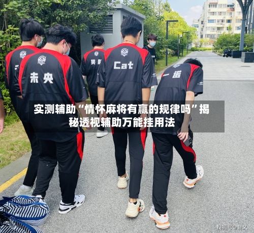 实测辅助“情怀麻将有赢的规律吗”揭秘透视辅助万能挂用法-第2张图片