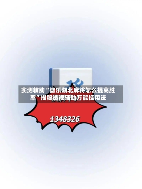 实测辅助“微乐湖北麻将怎么提高胜率”揭秘透视辅助万能挂用法-第3张图片
