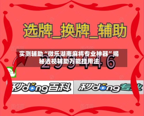 实测辅助“微乐湖南麻将专业神器”揭秘透视辅助万能挂用法-第2张图片