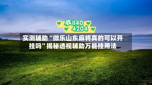 实测辅助“微乐山东麻将真的可以开挂吗”揭秘透视辅助万能挂用法-第1张图片