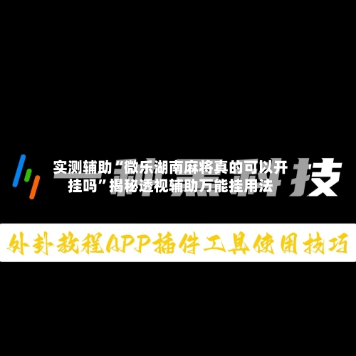 实测辅助“微乐湖南麻将真的可以开挂吗	”揭秘透视辅助万能挂用法-第1张图片