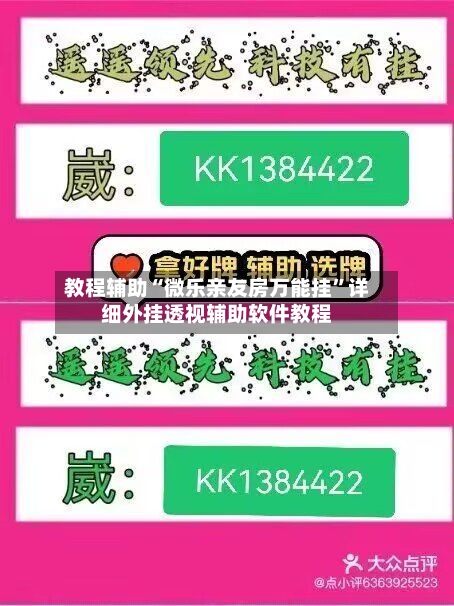 教程辅助“微乐亲友房万能挂”详细外挂透视辅助软件教程-第3张图片