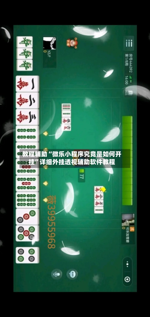 教程辅助“微乐小程序究竟是如何开挂	”详细外挂透视辅助软件教程-第3张图片