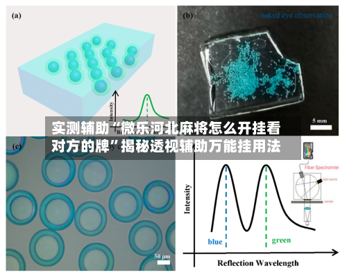 实测辅助“微乐河北麻将怎么开挂看对方的牌”揭秘透视辅助万能挂用法-第1张图片