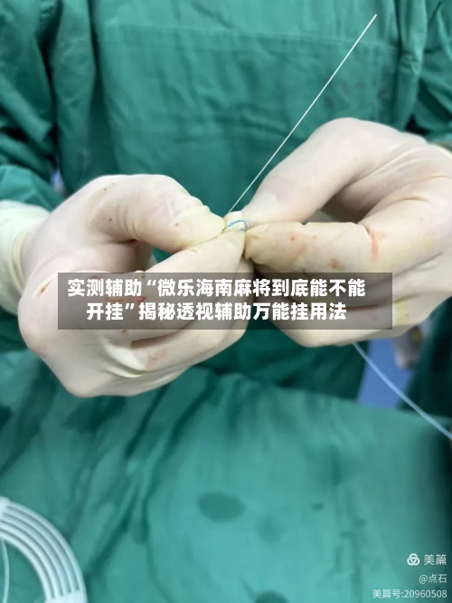 实测辅助“微乐海南麻将到底能不能开挂	”揭秘透视辅助万能挂用法-第2张图片