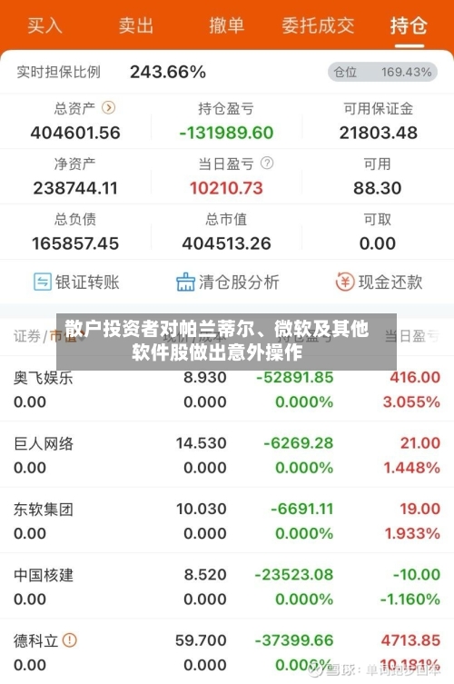 散户投资者对帕兰蒂尔	、微软及其他软件股做出意外操作-第3张图片