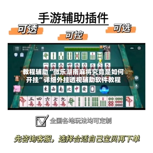 教程辅助“微乐湖南麻将究竟是如何开挂”详细外挂透视辅助软件教程-第2张图片