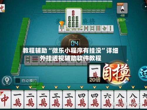 教程辅助“微乐小程序有挂没”详细外挂透视辅助软件教程-第1张图片