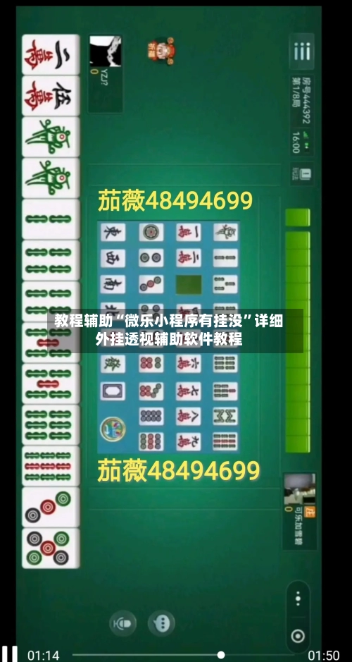 教程辅助“微乐小程序有挂没”详细外挂透视辅助软件教程-第2张图片