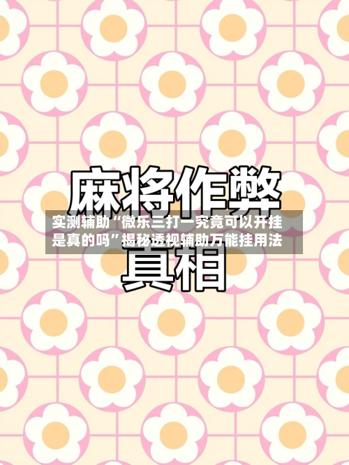 实测辅助“微乐三打一究竟可以开挂是真的吗	”揭秘透视辅助万能挂用法-第1张图片