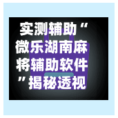 实测辅助“微乐湖南麻将辅助软件”揭秘透视辅助万能挂用法-第3张图片