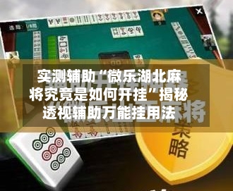 实测辅助“微乐湖北麻将究竟是如何开挂	”揭秘透视辅助万能挂用法-第1张图片