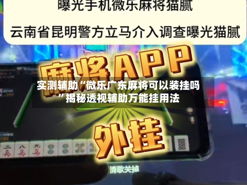 实测辅助“微乐广东麻将可以装挂吗”揭秘透视辅助万能挂用法-第3张图片