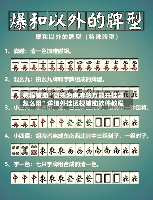 教程辅助“微乐海南麻将万能开挂器怎么用	”详细外挂透视辅助软件教程-第3张图片