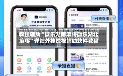 教程辅助“微乐湖南麻将微乐湖北麻将”详细外挂透视辅助软件教程-第3张图片