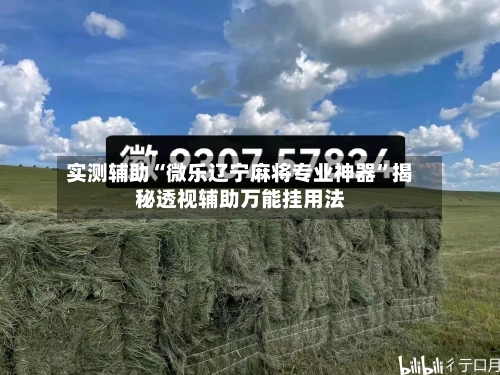 实测辅助“微乐辽宁麻将专业神器”揭秘透视辅助万能挂用法-第2张图片