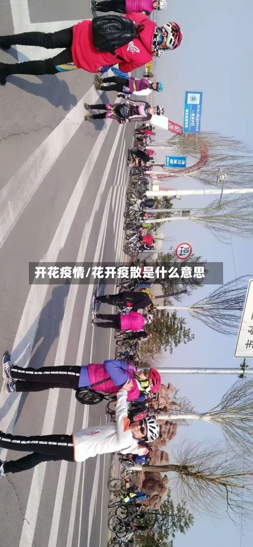 开花疫情/花开疫散是什么意思-第1张图片