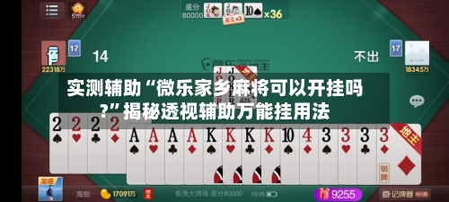 实测辅助“微乐家乡麻将可以开挂吗?”揭秘透视辅助万能挂用法-第2张图片