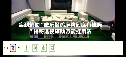 实测辅助“微乐捉鸡麻将到底有挂吗”揭秘透视辅助万能挂用法-第3张图片