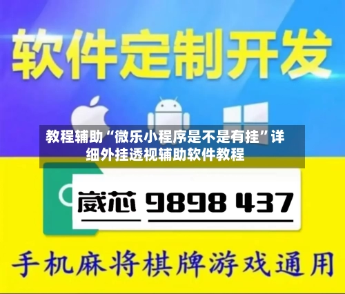 教程辅助“微乐小程序是不是有挂	”详细外挂透视辅助软件教程-第3张图片