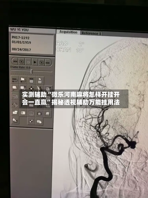 实测辅助“微乐河南麻将怎样开挂开会一直赢”揭秘透视辅助万能挂用法-第1张图片