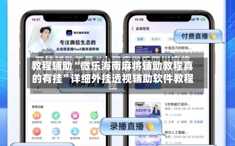 教程辅助“微乐海南麻将辅助教程真的有挂”详细外挂透视辅助软件教程-第2张图片