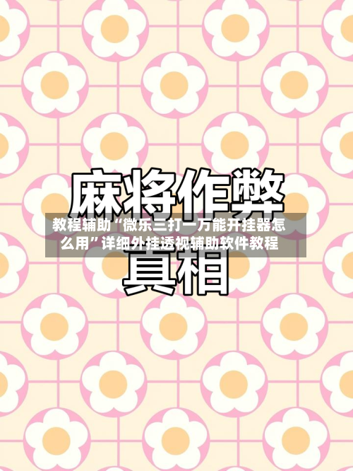 教程辅助“微乐三打一万能开挂器怎么用”详细外挂透视辅助软件教程-第3张图片