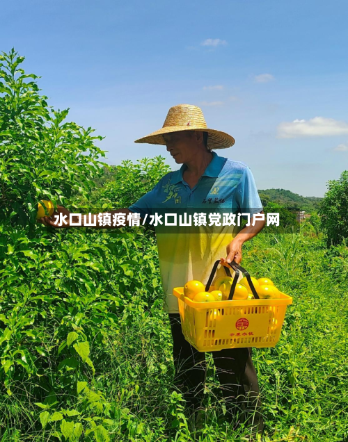 水口山镇疫情/水口山镇党政门户网-第1张图片