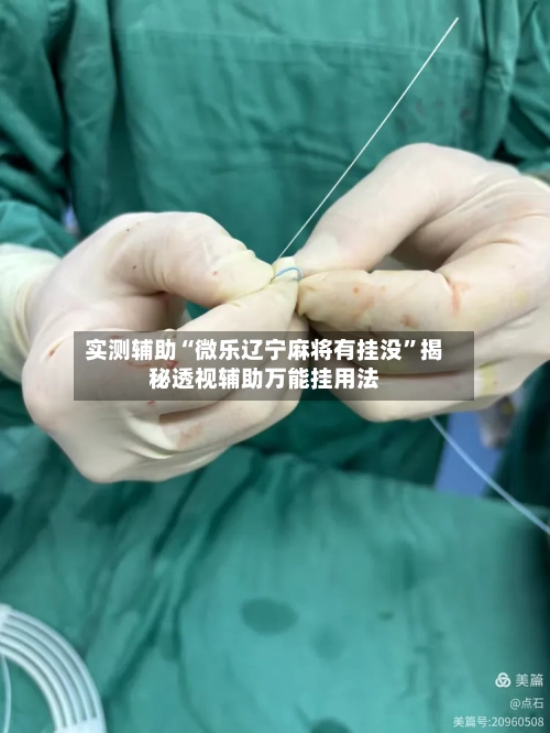 实测辅助“微乐辽宁麻将有挂没”揭秘透视辅助万能挂用法-第2张图片