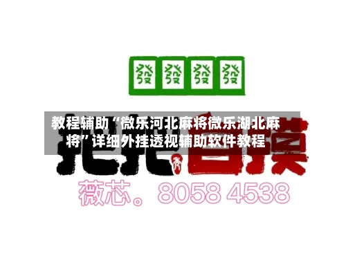 教程辅助“微乐河北麻将微乐湖北麻将	”详细外挂透视辅助软件教程-第2张图片