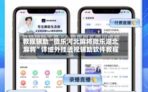 教程辅助“微乐河北麻将微乐湖北麻将”详细外挂透视辅助软件教程-第1张图片