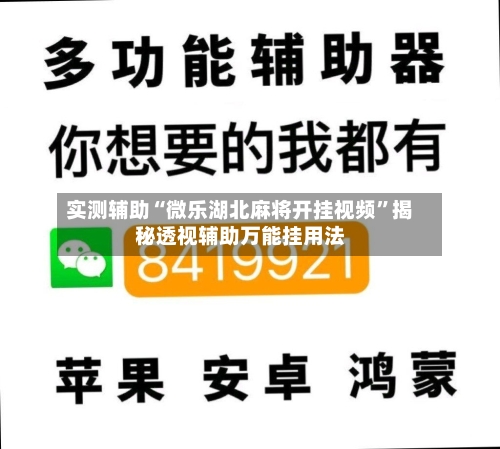 实测辅助“微乐湖北麻将开挂视频”揭秘透视辅助万能挂用法-第1张图片