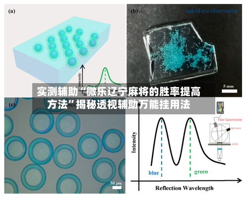 实测辅助“微乐辽宁麻将的胜率提高方法”揭秘透视辅助万能挂用法-第2张图片