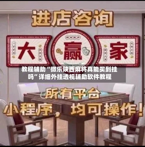 教程辅助“微乐陕西麻将真能买到挂吗	”详细外挂透视辅助软件教程-第1张图片
