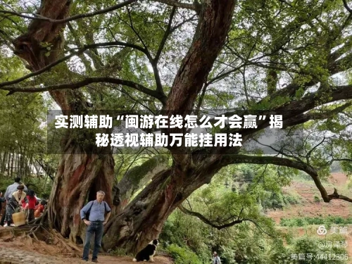 实测辅助“闽游在线怎么才会赢”揭秘透视辅助万能挂用法-第3张图片
