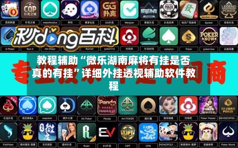 教程辅助“微乐湖南麻将有挂是否真的有挂”详细外挂透视辅助软件教程-第1张图片