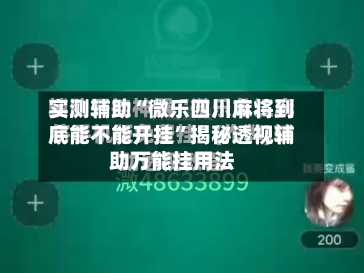 实测辅助“微乐四川麻将到底能不能开挂”揭秘透视辅助万能挂用法-第3张图片
