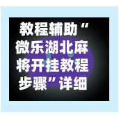 教程辅助“微乐湖北麻将开挂教程步骤”详细外挂透视辅助软件教程-第1张图片