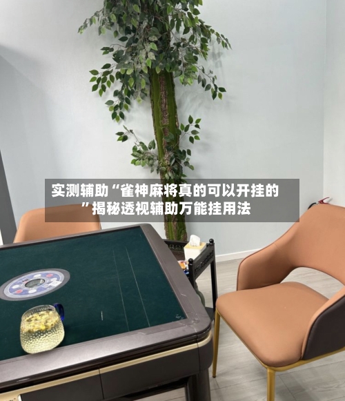 实测辅助“雀神麻将真的可以开挂的”揭秘透视辅助万能挂用法-第2张图片