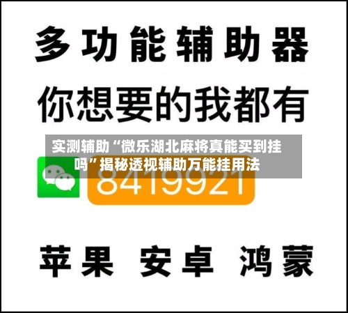 实测辅助“微乐湖北麻将真能买到挂吗”揭秘透视辅助万能挂用法-第1张图片
