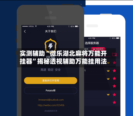 实测辅助“微乐湖北麻将万能开挂器	”揭秘透视辅助万能挂用法-第2张图片