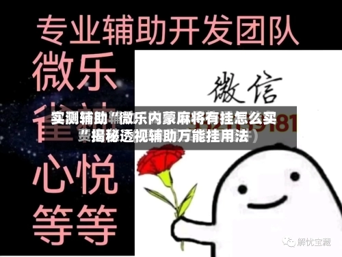 实测辅助“微乐内蒙麻将有挂怎么买”揭秘透视辅助万能挂用法-第2张图片