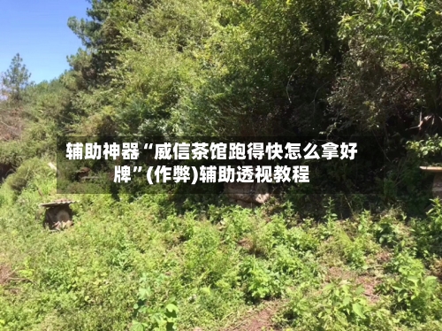 辅助神器“威信茶馆跑得快怎么拿好牌”(作弊)辅助透视教程-第2张图片