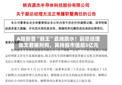 A股新晋“股王”直线跳水！副总经理陈文君被刑拘，其持股市值超5亿元-第1张图片
