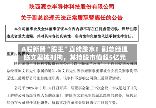 A股新晋“股王”直线跳水！副总经理陈文君被刑拘，其持股市值超5亿元-第2张图片