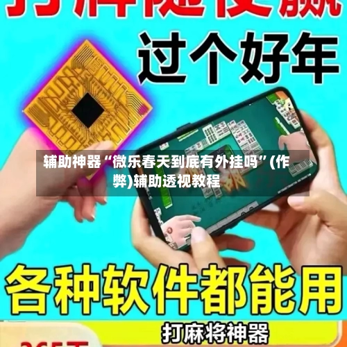 辅助神器“微乐春天到底有外挂吗”(作弊)辅助透视教程-第2张图片