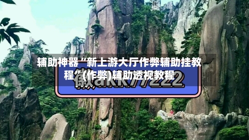 辅助神器“新上游大厅作弊辅助挂教程”(作弊)辅助透视教程-第2张图片