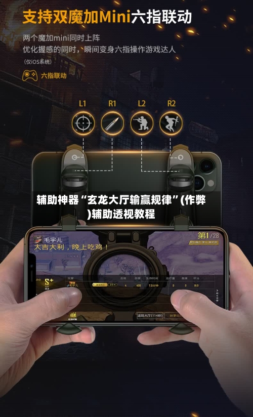辅助神器“玄龙大厅输赢规律”(作弊)辅助透视教程-第3张图片